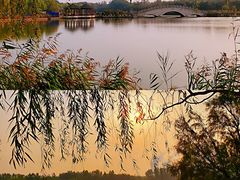 -塘沽森林公园
