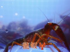 -湘里乡亲甲王二老店