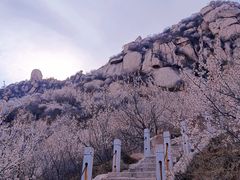 -北京凤凰岭