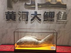 -阿五黄河大鲤鱼(英协路店)