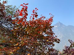 -太平万花山景区