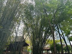 -望江楼公园