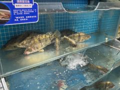 -胖姐渔村(中源大道店)