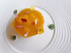 -梧桐舍那(梧桐山店)