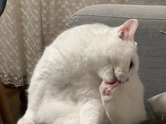 -汤沐邑温泉会馆