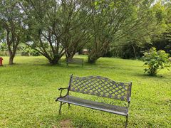 -开平碉楼文化旅游区马降龙景区
