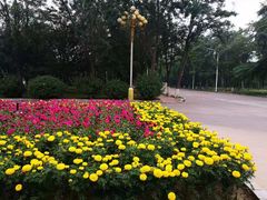 -渤海大学(松山校区)