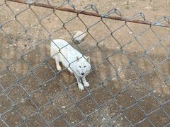 -石家庄市动物园