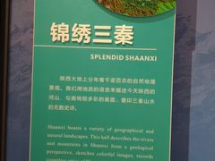 -陕西自然博物馆