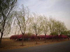 -兴安湖生态运动公园