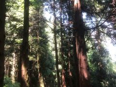 -山王坪喀斯特国家生态公园
