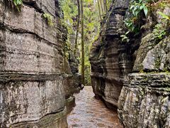 -梭布垭石林景区