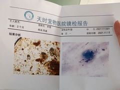 -天时宠物医院24小时疑难病例会诊中心(顾乡大街总院)