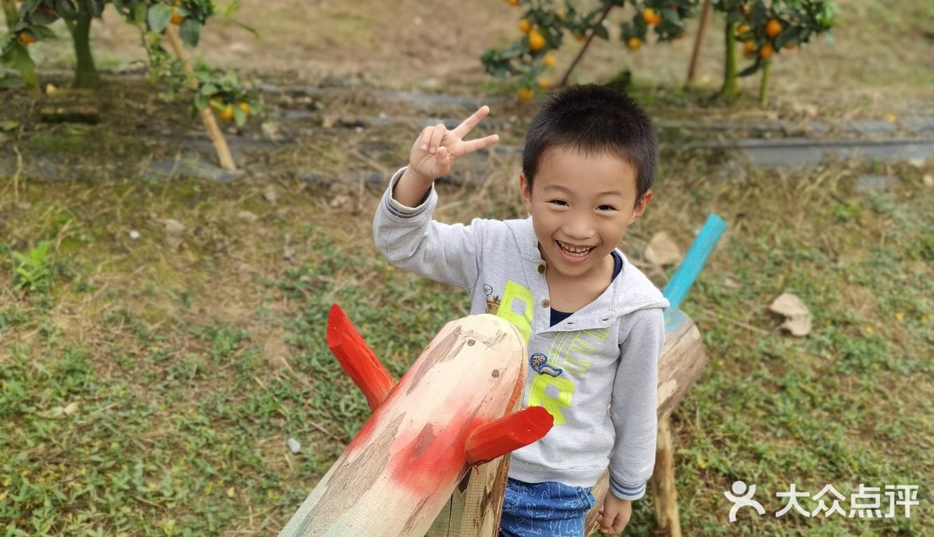 重庆荣昌盘龙镇盘周路路边上的一处果园