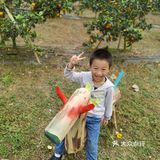 重庆荣昌盘龙镇盘周路路边上的一处果园