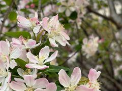 -江南大学(蠡湖校区)