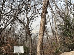 -南京市江宁方山