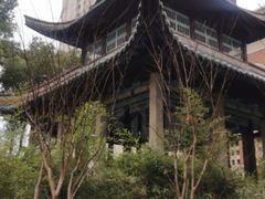 -长沙市青少年宫