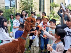 -济南喜来登酒店