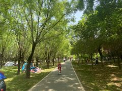 -洨河生态公园