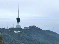 -梧桐山风景名胜区