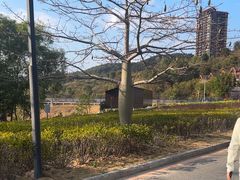 -佛冈熹乐谷温泉度假酒店