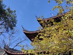 -虎跑公园