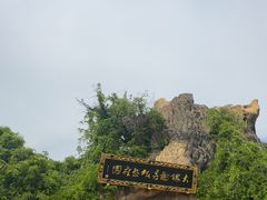 -大槐树寻根祭祖园