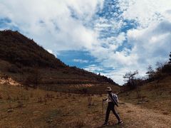 -武陵山森林公园