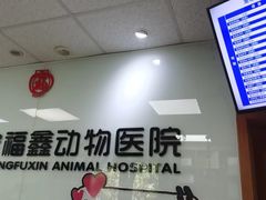 -宠福鑫动物医院(城北分院)