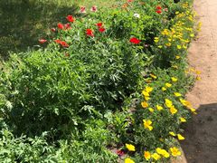 -国家植物园南园