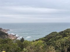 -广东惠东海龟国家级自然保护区