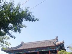-杨柳青庄园