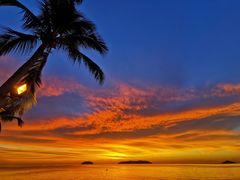 -Sunset Bar(丹绒亚路香格里拉店)