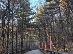 -棋盘山风景区