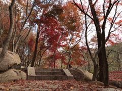 -崂山巨峰游览区