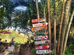 -乌托邦酒吧和餐厅