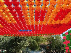 -宝莲禅寺