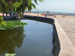 -青岛第二海水浴场