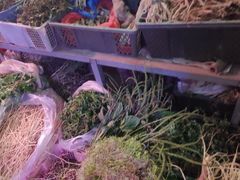 -厦门第七菜市场