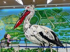 -同里国家湿地公园