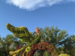 -国家植物园