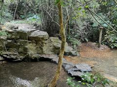 -大屏嶂森林公园