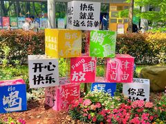 -上海共青森林公园