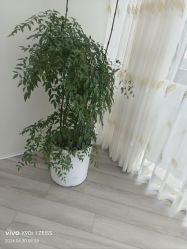-HEYAN荷妍专业脱毛连锁机构