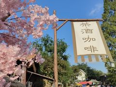 -老山国家森林公园