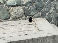 -烟台山景区