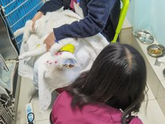 -纳吉亚猫专科动物医院博雅分院