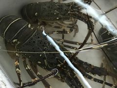 -班赞海鲜市场