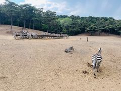 -沈阳森林动物园
